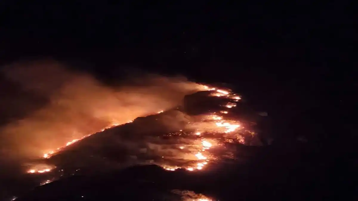 Marmara Adası’nda orman yangını haberinin görseli