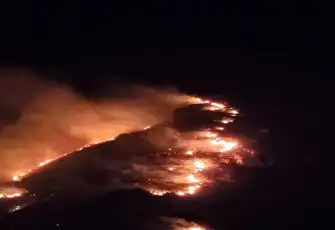 Marmara Adası’nda orman yangını