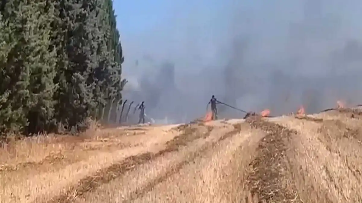 Silivri&#039;de otluk alanda yangın haberinin görseli