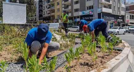 İzmir'deki kavşaklar kuraklığa karşı estetik görünüme kavuşuyor