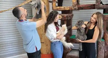 İzmir haber: Can dostları ömürlük yuva bekliyor