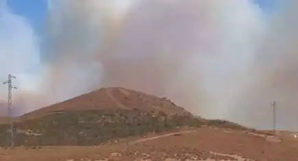 Seferihisar'da orman yangını çıktı