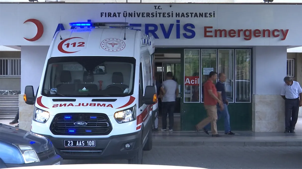 Elazığ’da kahreden ölüm: Kaçan eşeğin yuları boynuna dolanan 7 yaşındaki Meryem hayatını kaybetti haberinin görseli