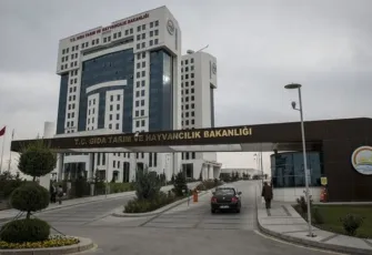 Tarım Bakanlığı açıkladı: Ekmek fiyatı, yoğurt, balıkla yoğurt… Doğru bildiğimiz yanlışlar!