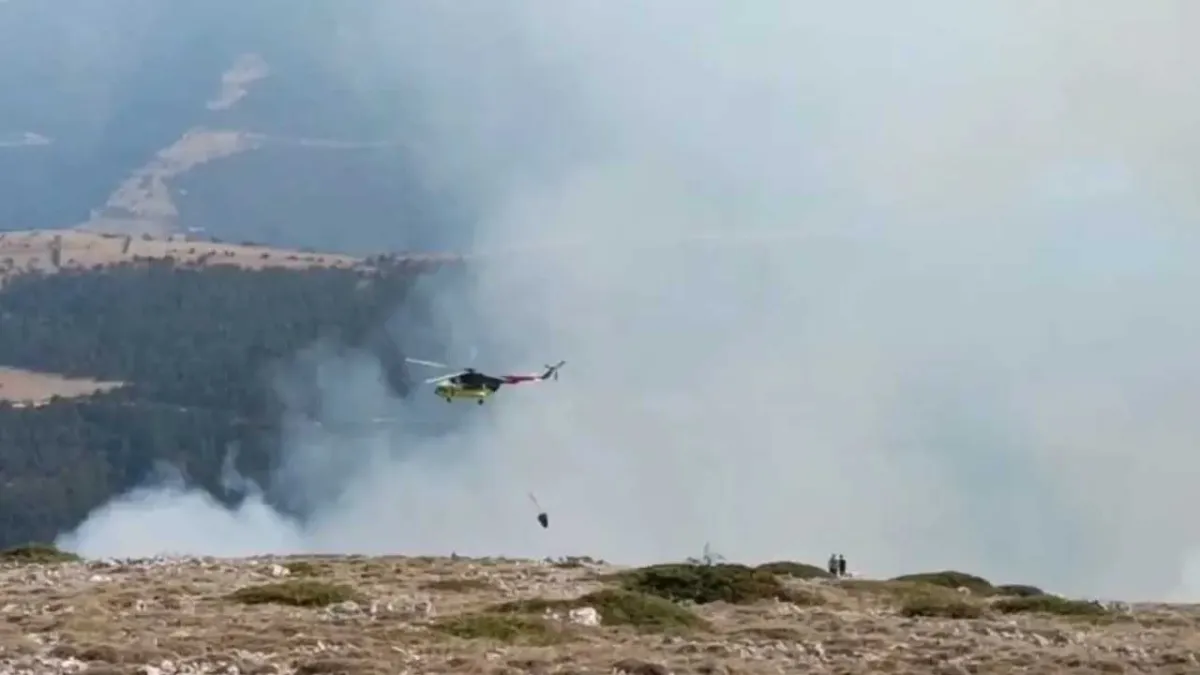 Amasya’da orman yangını haberinin görseli
