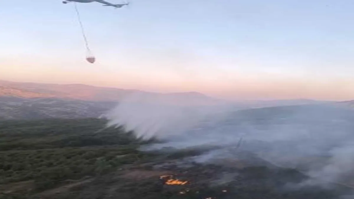 Bingöl&#039;de orman yangını! haberinin görseli
