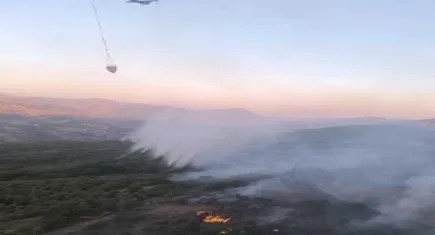 Bingöl'de orman yangını!