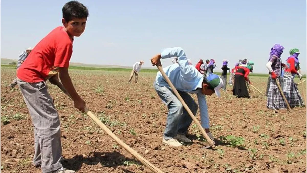 Uzmanından kritik iklim değişikliği uyarısı haberinin görseli