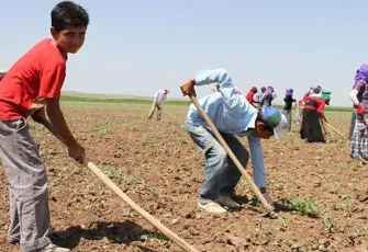 Uzmanından kritik iklim değişikliği uyarısı