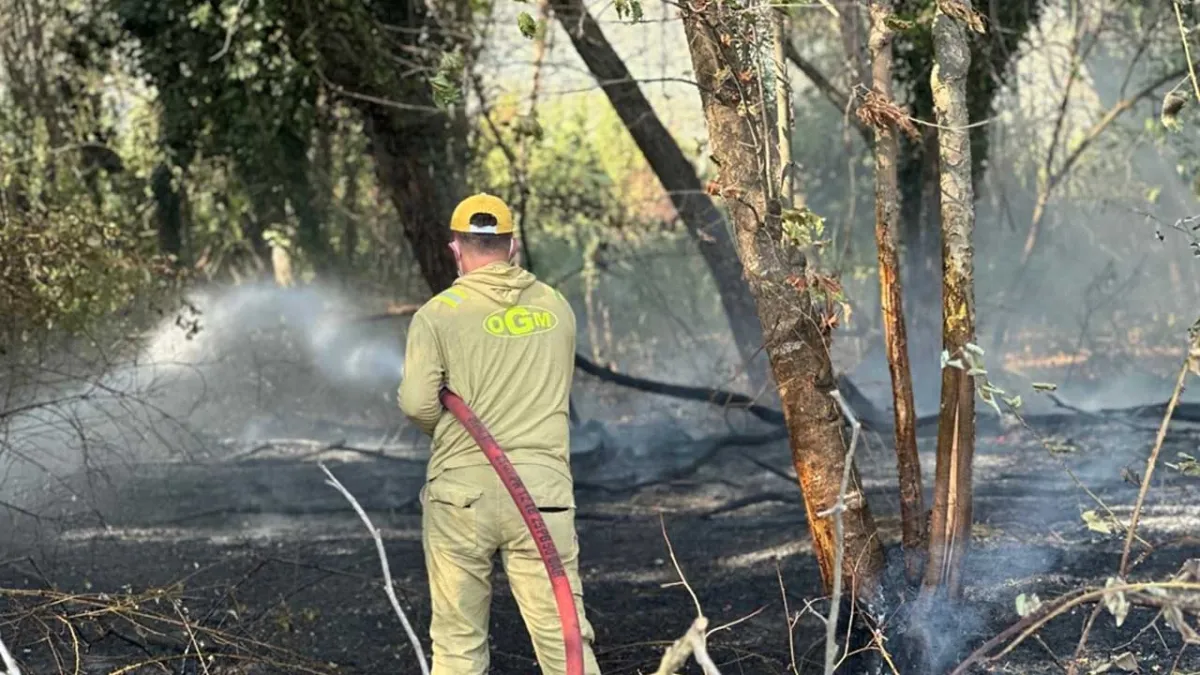 İznik&#039;te maki yangını haberinin görseli