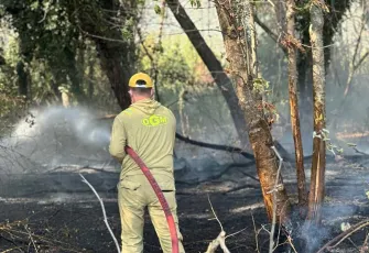 İznik'te maki yangını