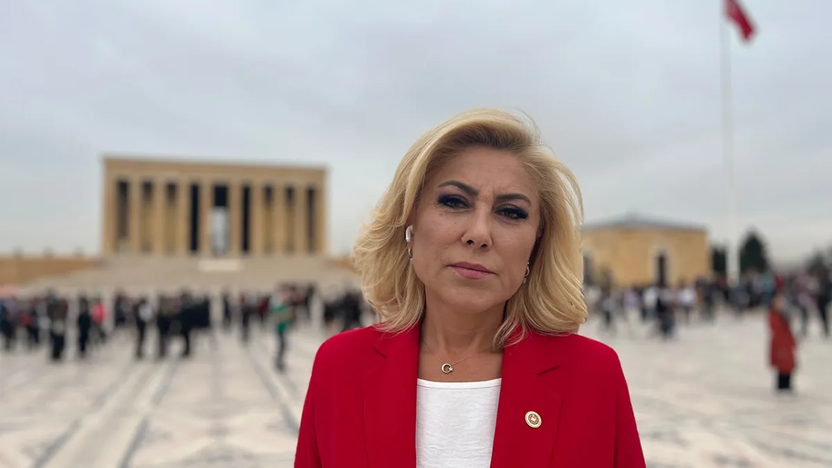 Şebnem Bursalı: Mücadele etmeye devam ediyoruz haberinin görseli