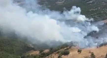 Balıkesir’de yangın: Tarım arazisinde çıktı ormana sıçradı 
