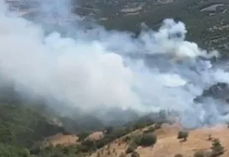 Balıkesir’de yangın: Tarım arazisinde çıktı ormana sıçradı 