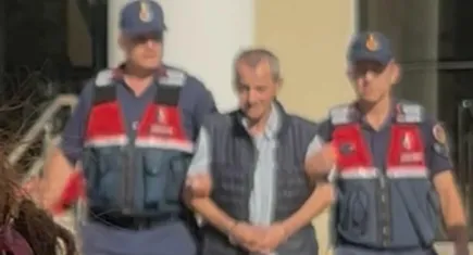 İzmir haber: 15 sokak hayvanını zehirle öldüren şüpheli tutuklandı