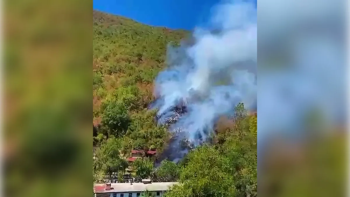 Bartın&#039;da orman yangını! haberinin görseli