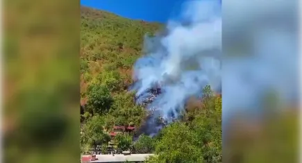 Bartın'da orman yangını!
