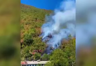 Bartın'da orman yangını!