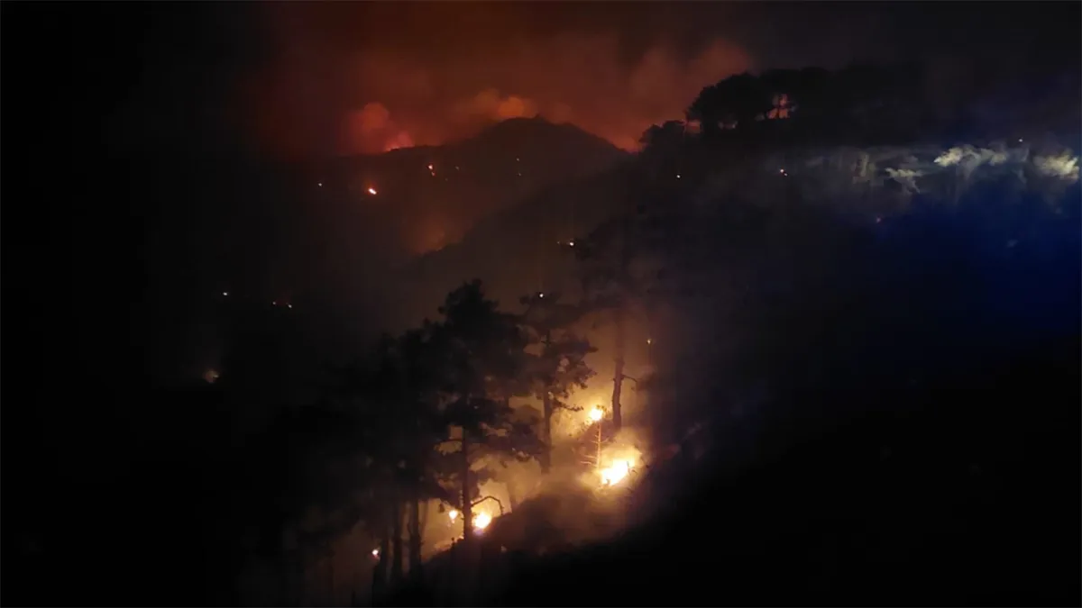 Denizli’de çıkan orman yangını Aydın’a sıçradı haberinin görseli