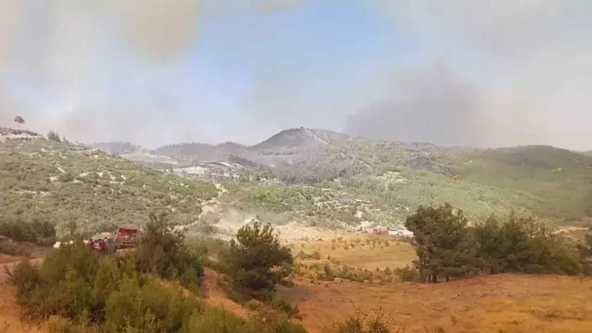 Denizli&#039;de orman yangını: 3 gözaltı haberinin görseli