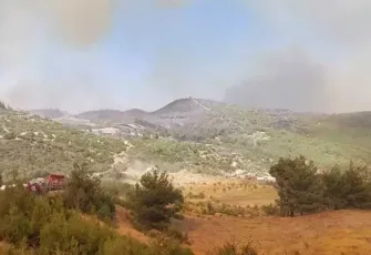 Denizli'de orman yangını: 3 gözaltı