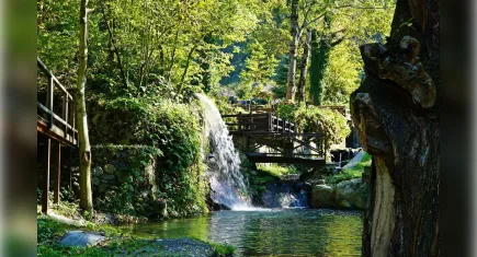 Doğanın kalbinde bir kaçış rotası: Sapanca