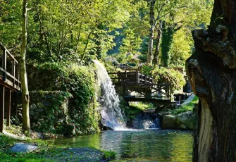 Doğanın kalbinde bir kaçış rotası: Sapanca