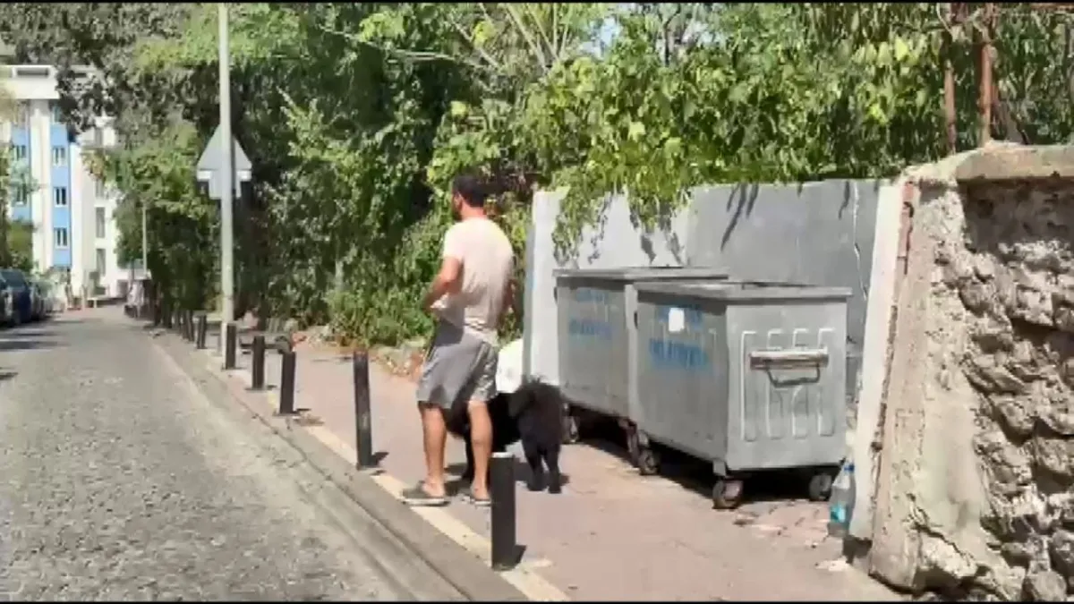 İstanbul’un göbeğinde korkunç olay: İşkence edilmiş bebek cesedi bulundu haberinin görseli
