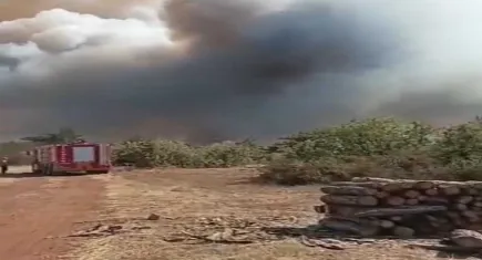 Karabük’te orman yangını