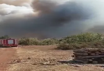 Karabük’te orman yangını