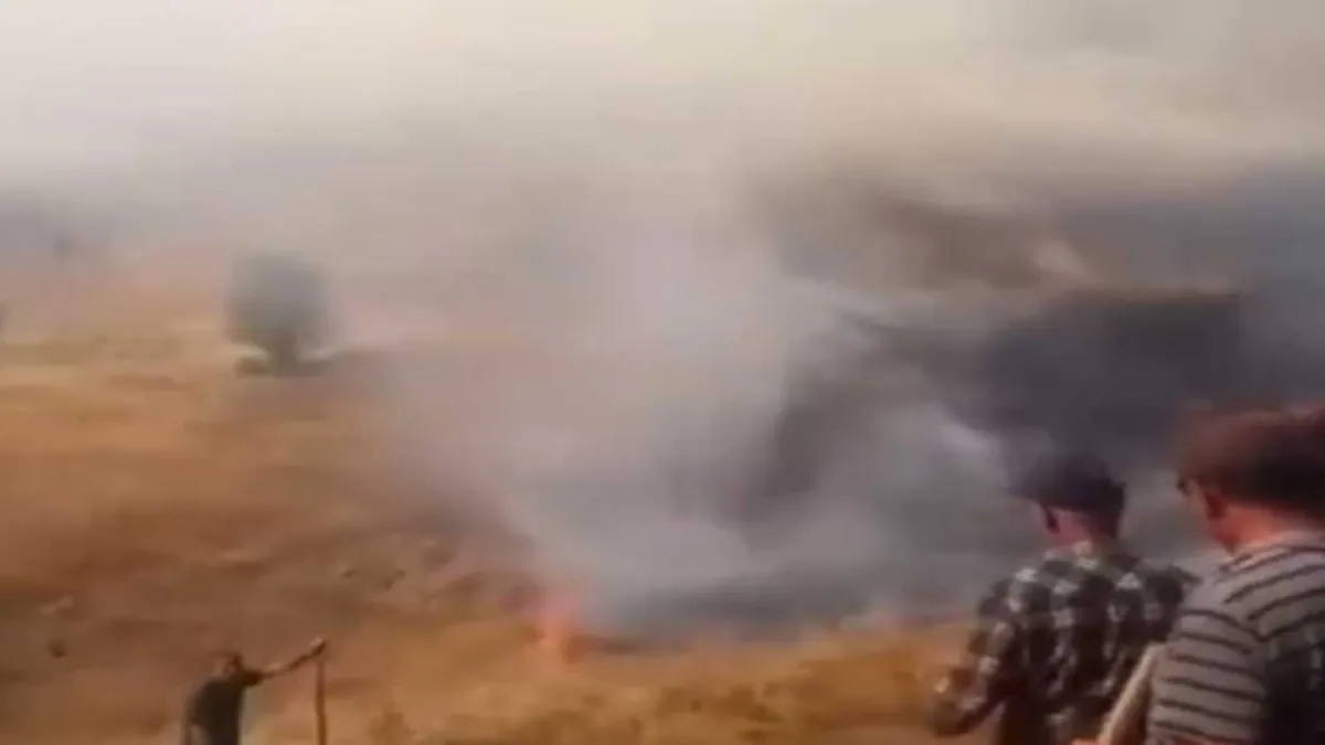 Sivas&#039;ta anız yangını haberinin görseli