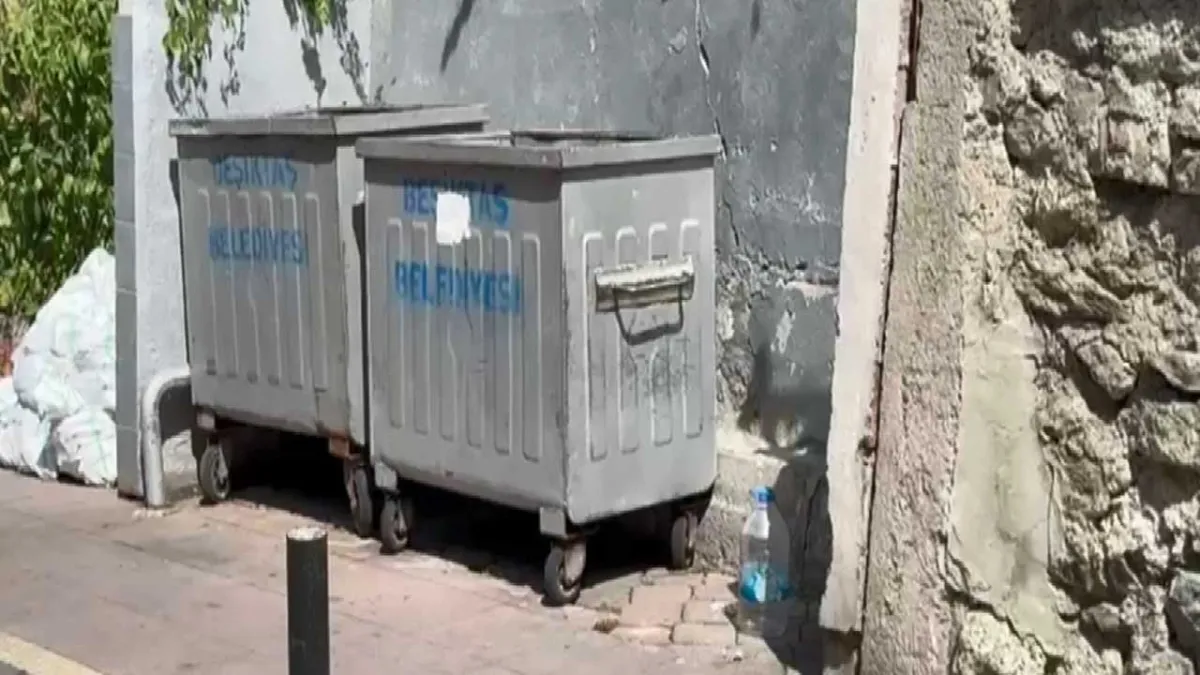 Çöp konteynerinin yanında bebek cesedi bulunmuştu: Anne gözaltına alındı! haberinin görseli