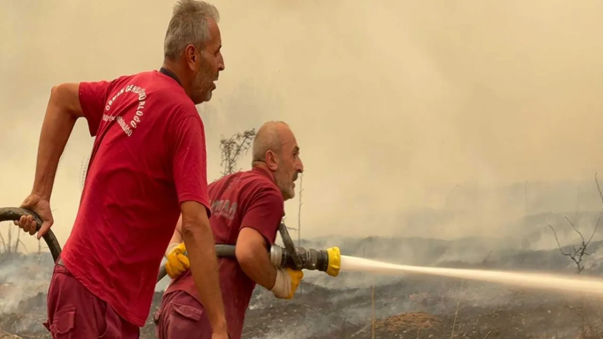 Karabük&#039;te orman yangını devam ediyor! haberinin görseli
