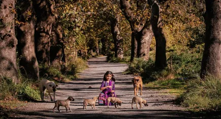 HAYTAP 2025 Fotoğraf Yarışması sonuçlandı: Sahipsiz Hayvanlar ve Merhamet