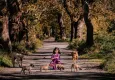 HAYTAP 2025 Fotoğraf Yarışması sonuçlandı: Sahipsiz Hayvanlar ve Merhamet