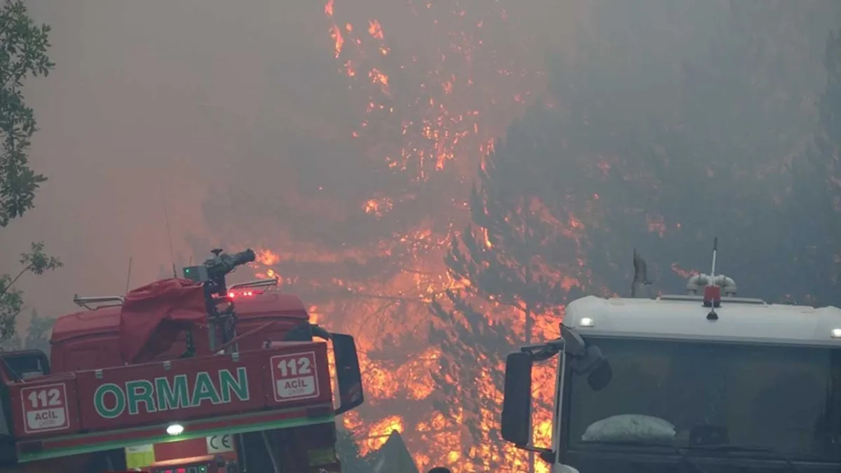 Kastamonu ve Aydın&#039;da orman yangını devam ediyor! haberinin görseli