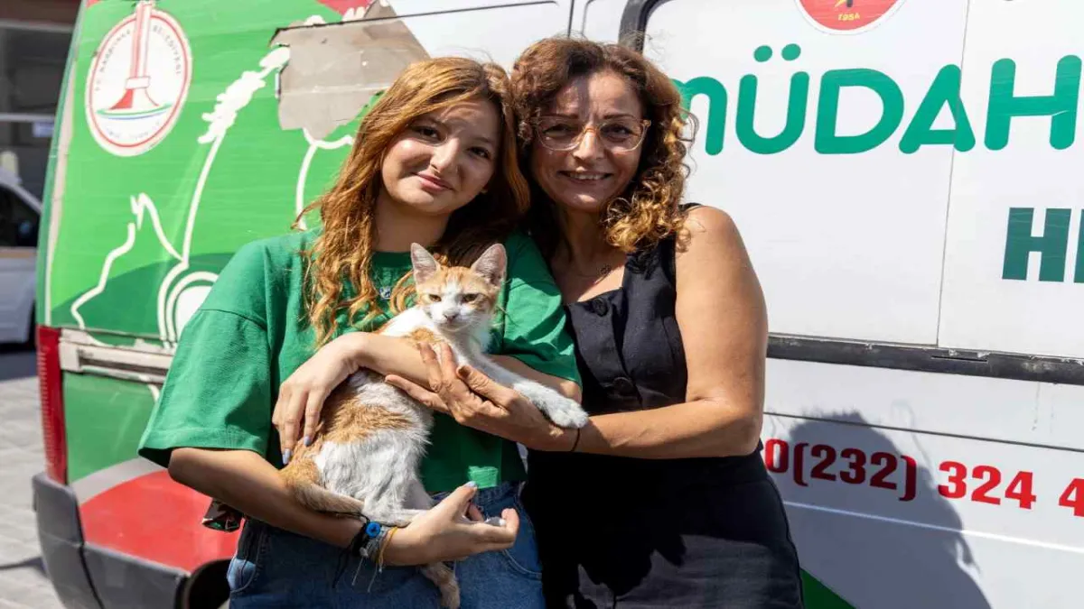 Karşıyaka’da kazadan kurtulan ‘şanslı’ yeni yuvasına kavuştu haberinin görseli