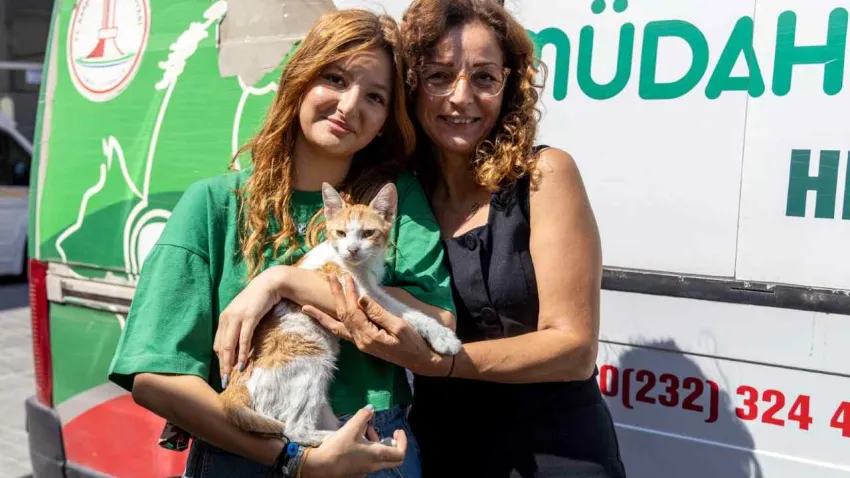kedı