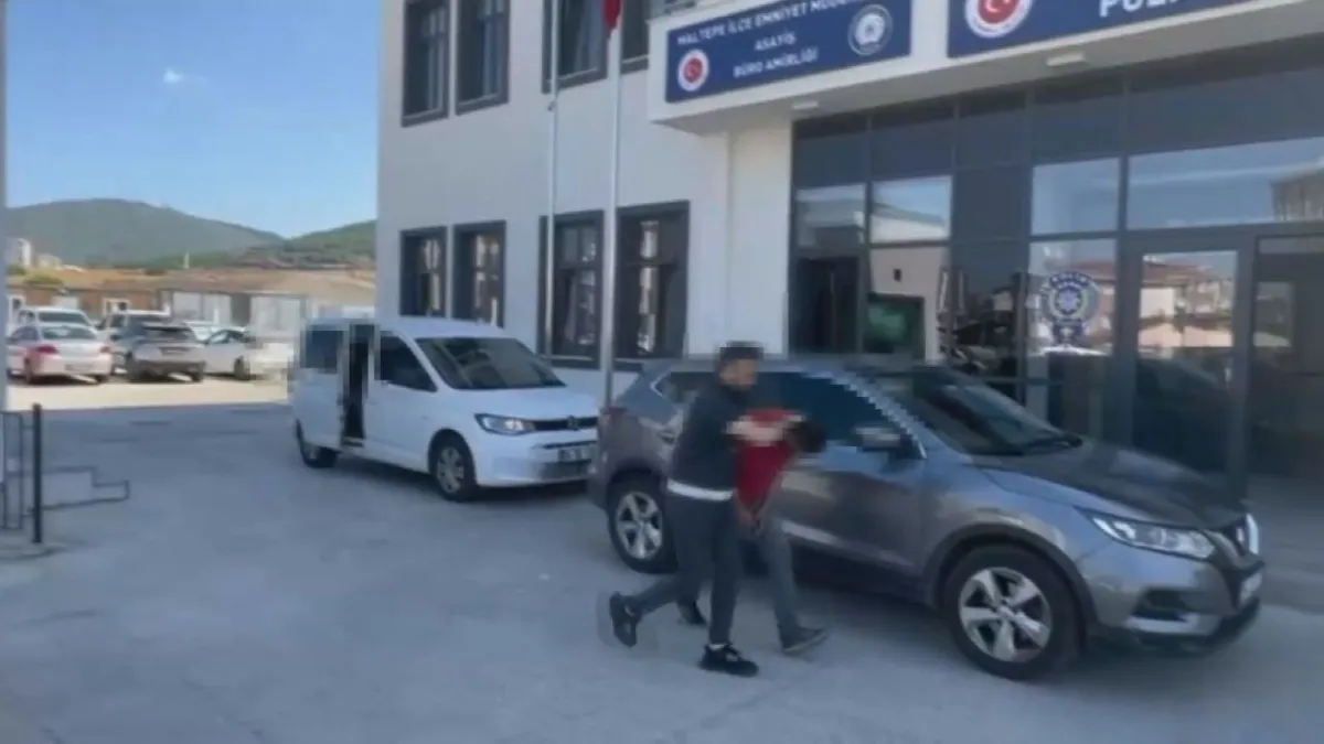 Maltepe orman yangını: Kamp ateşi yastıkla büyüdü, 2 şüpheli gözaltında! haberinin görseli
