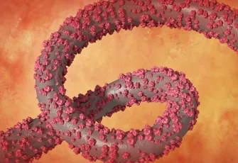 Kongo'da ebola alarmı: 28 vaka, 15 ölü! Sağlık çalışanları da hedefte