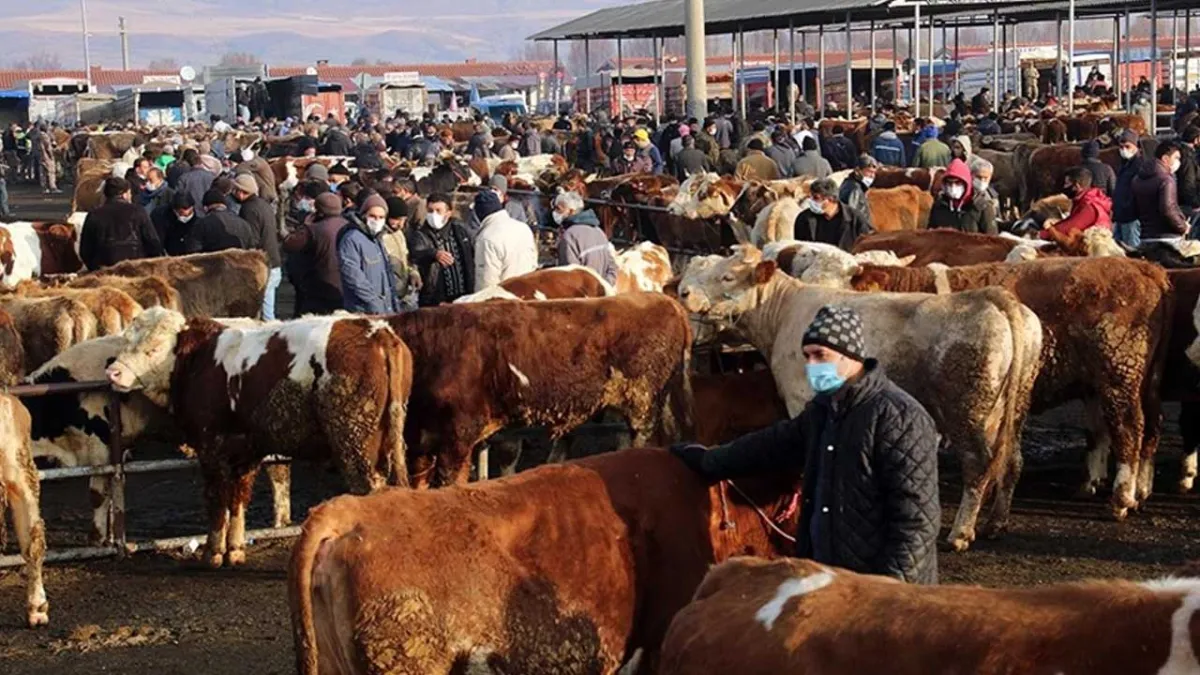6 ilde hayvan pazarı yasağı kalkıyor haberinin görseli