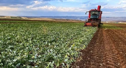 Bakan Yumaklı müjdeyi verdi: Destek ödemeleri bugün yatıyor