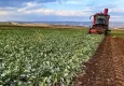 Bakan Yumaklı müjdeyi verdi: Destek ödemeleri bugün yatıyor