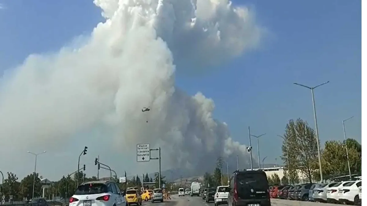 Bursa ve Karabük&#039;te orman yangını haberinin görseli