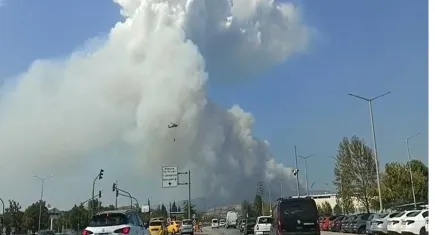 Bursa ve Karabük'te orman yangını