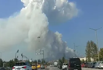 Bursa ve Karabük'te orman yangını