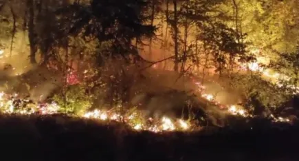 Düzce’de orman yangını korkuttu: Yerleşim yerlerine sıçramadan kontrol altına alındı