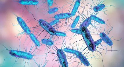 ABD’de ev yemeklerinde Salmonella alarmı: 7 kişi hastaneye kaldırıldı, vaka sayısı artabilir