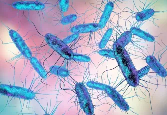 ABD’de ev yemeklerinde Salmonella alarmı: 7 kişi hastaneye kaldırıldı, vaka sayısı artabilir
