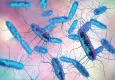 ABD’de ev yemeklerinde Salmonella alarmı: 7 kişi hastaneye kaldırıldı, vaka sayısı artabilir